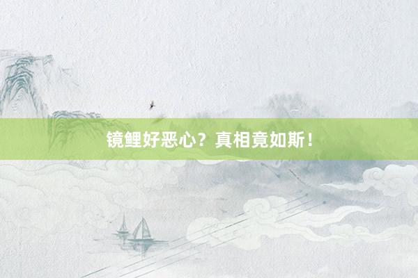 镜鲤好恶心？真相竟如斯！